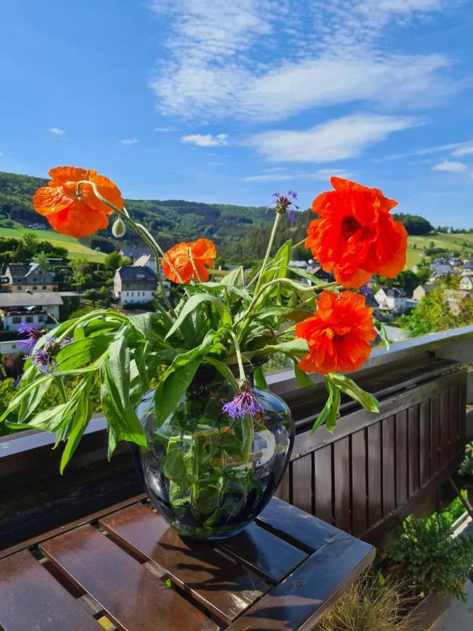 شقة Panoramablick Willingen Schwalefeld المظهر الخارجي الصورة