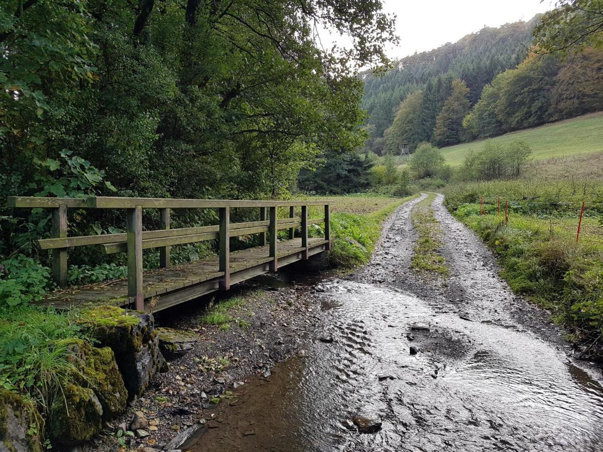 شقة Panoramablick Willingen Schwalefeld المظهر الخارجي الصورة