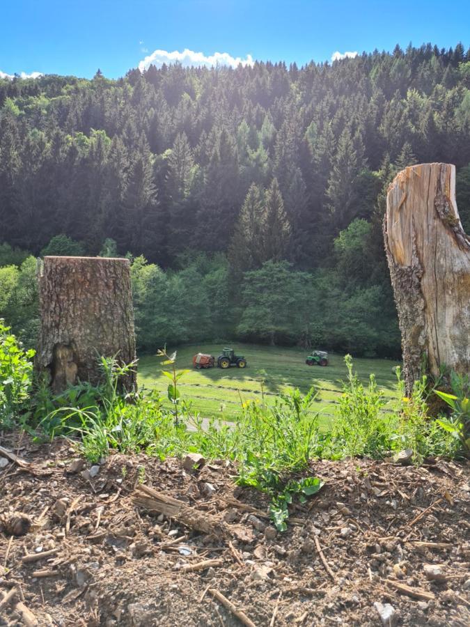 شقة Panoramablick Willingen Schwalefeld المظهر الخارجي الصورة